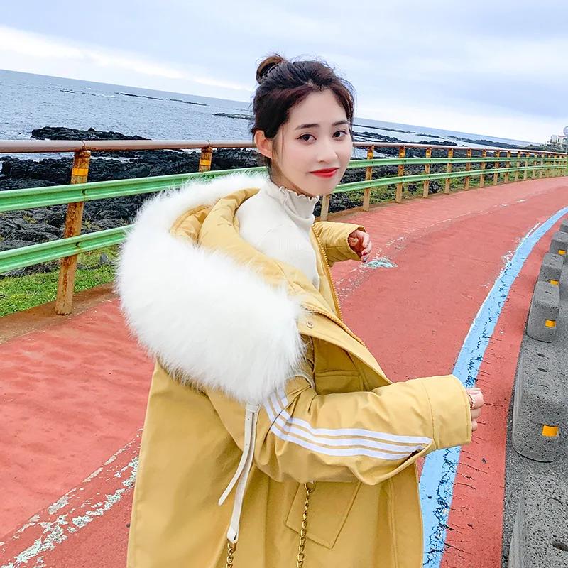 Cotton-padded Clothes Winter Korean-style Mid-length Large Fur Collar Cotton Coat Large Size Students WOMEN'S Dress Cotton
