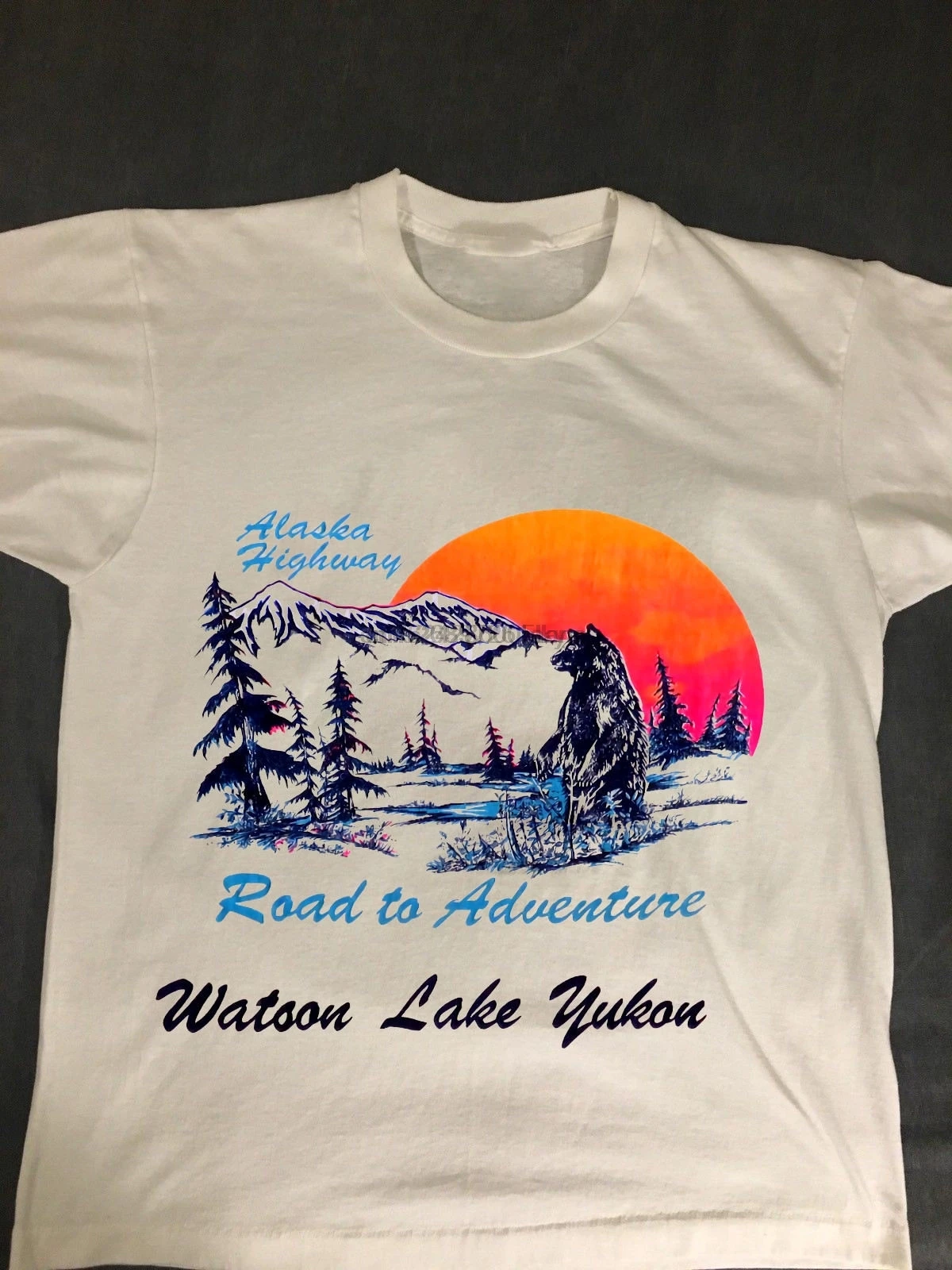 VINTAGE T SHIRT 70 80 Alaska Highway 