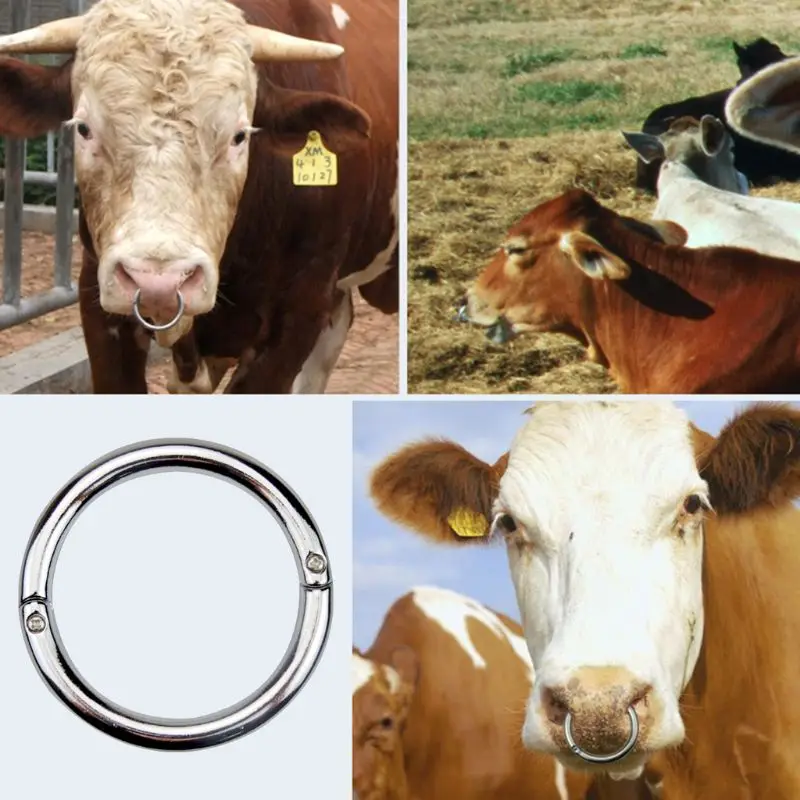 Cattle Bull Nose Ring Cattle Cow Nose Traction Clip Farming Equipment K4UA