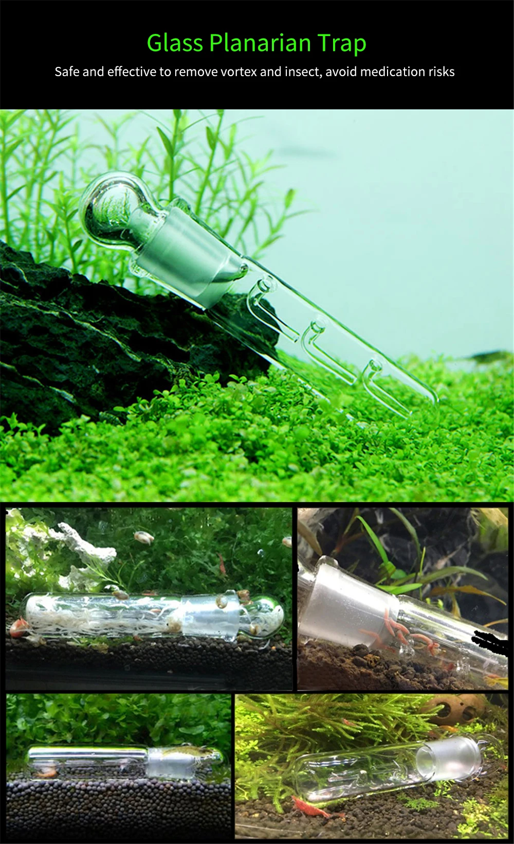 Aquarium Planaria Trap FIsh Tank Clear Glass Catch Trap for Cherry Shrimp Crystal Red Shrimp Dwarf Shrimp Flat Worms Leeches