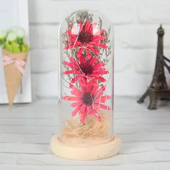 

Vale·tine's Day LED Light String Dried Flower In Glass Dome On Wooden Base Best Gift For Women*