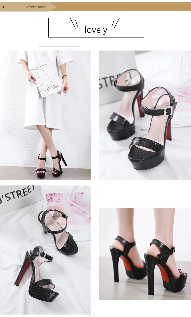 11736759380_1351158818