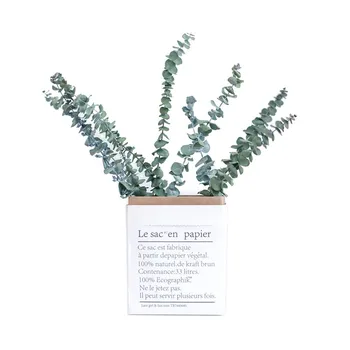 

10pcs Free Shipping Dried Eucalyptus Branches Natural Dried Flowers Wedding Party Home Decoration DIY Craft