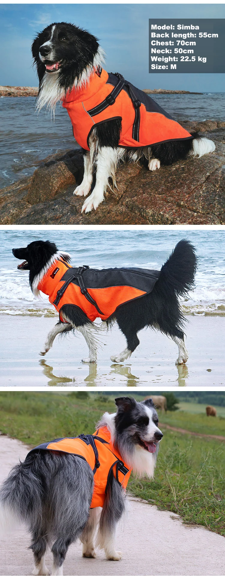 O1CN01Our7G81QkucHuewyD_!!2340322015