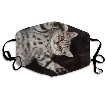 

Fancy Cat Picture Dust Mask, Reusable Washable Mouth Masks, Adjustable Warm Face Mask Unique Cover Filters Blocking Pollen