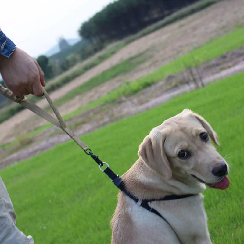 

Pet Dogs Leash Pet Dog Nylon Lead leash Dogs Supplies Elastic Pet Leading Rope for Running Walking Training Trickness