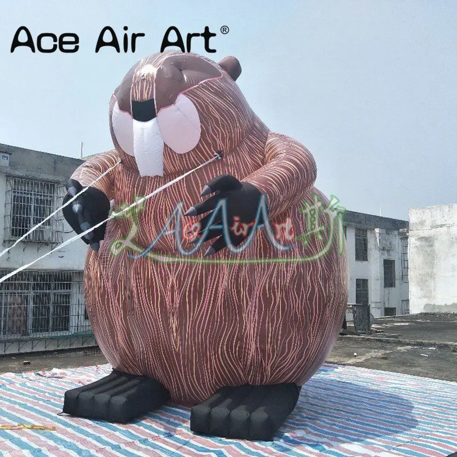 QQ图片20200214150359_副本