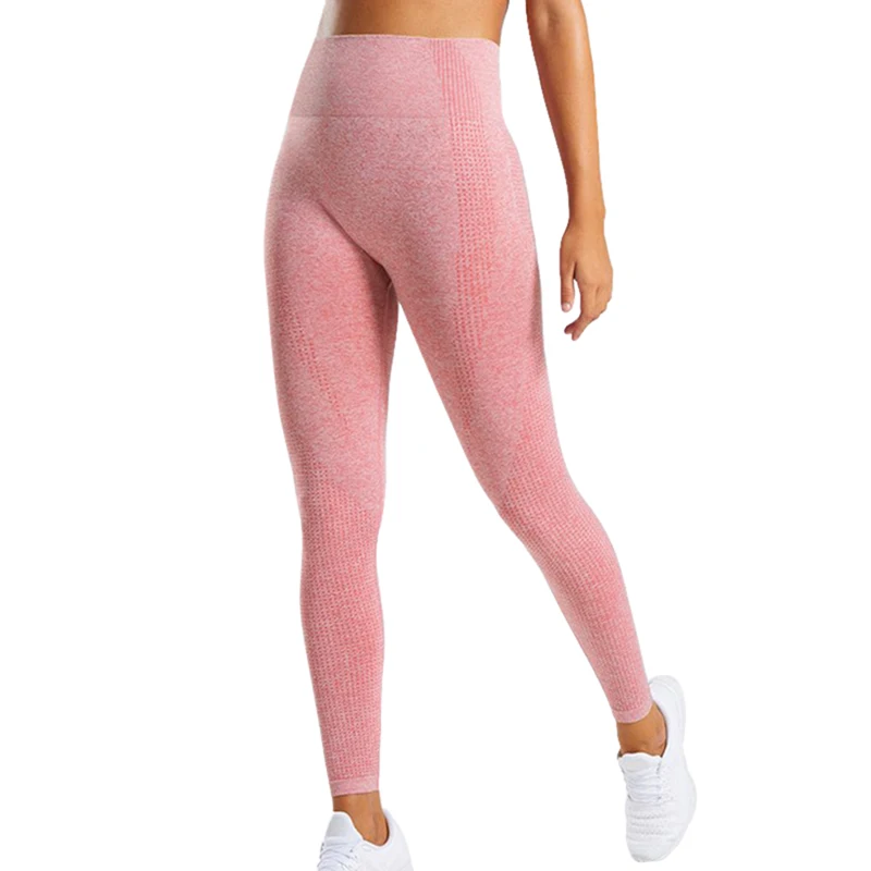 High Waist Stretch Gym Leggings Seamless Shark Sports Leggings Running Sportswear Women Fitness Pants Yoga Pants Women