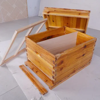 

Boiled Wax Bees In Bee Hives Package Full Set Of Bee Beekeeping Tools Mifeng Special Standard Ten Box Pine Flat Box