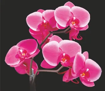 

Photo wallpaper 2,1*2,0 M, 6 sheets series flowers "exotic" pink orchid к-006 paper 150g/m2
