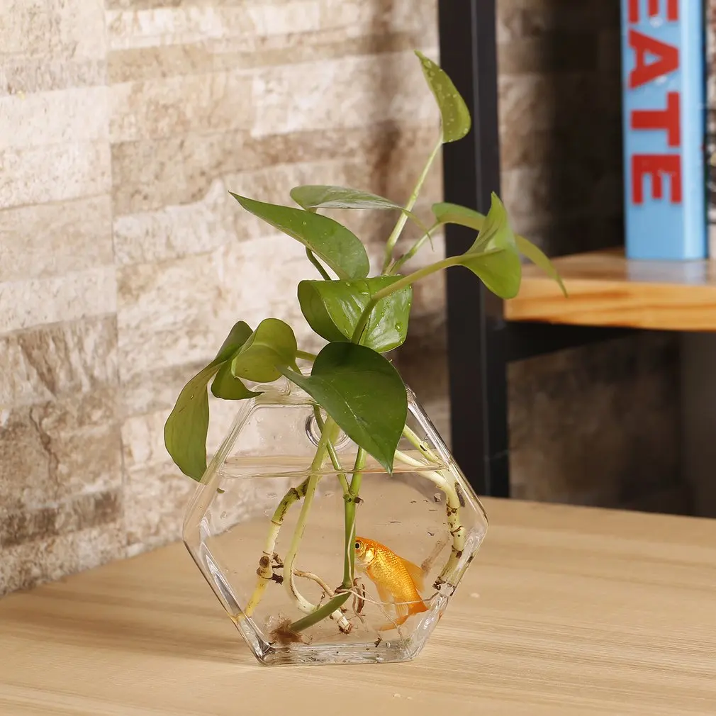 2 типа в форме цветка сливы прозрачная настенная подвесная гидропонная ваза контейнер растение цветок стеклянная бутылка украшение дома и офиса