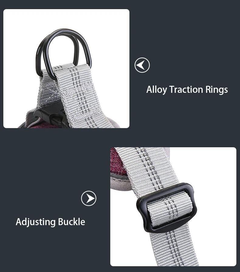 14397809743_1702532688