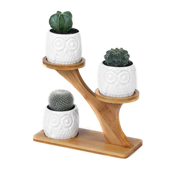 

Ceramic Flower Pots Modern Owl Flower Pots Succulent Flower Pots 3 Potted Flower Pots with 3 Layers of Bamboo Shelf
