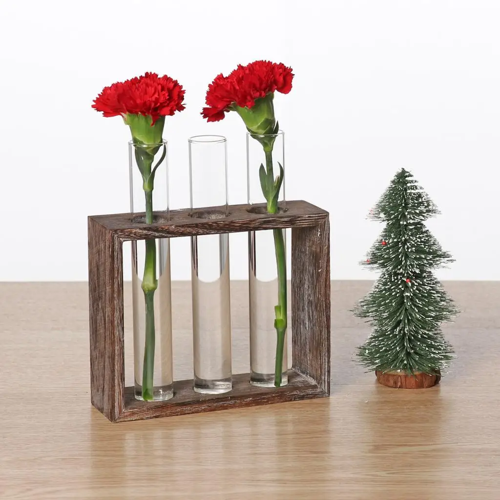 Clear Glass Tube Planter Vase with Vintage Wood Stand Holder for Plants Home