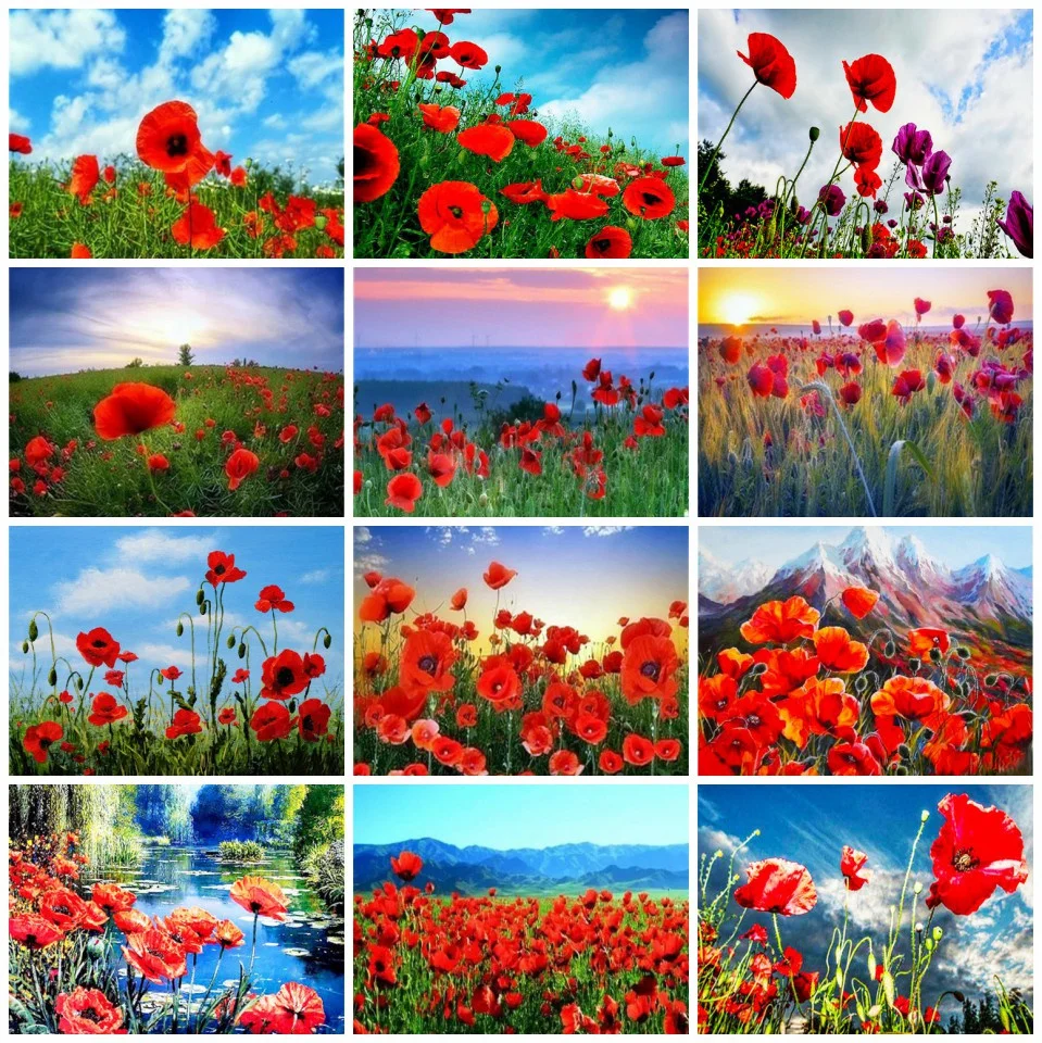 Azqsd Painting By Numbers Poppy Flower Pictures Oil Painting By Numbers