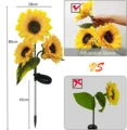 Sunflower-3