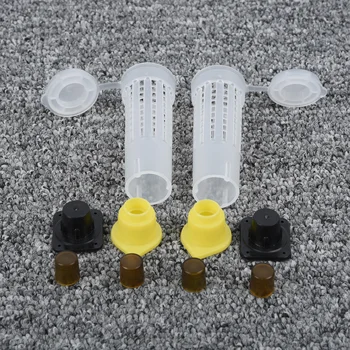 

Bee Queen Rearing Cupkit Complete Box System Beekeeping Cage 100 Cells Cup Lot D