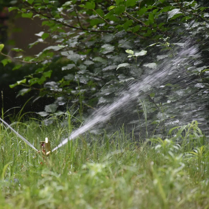 DSC_5198