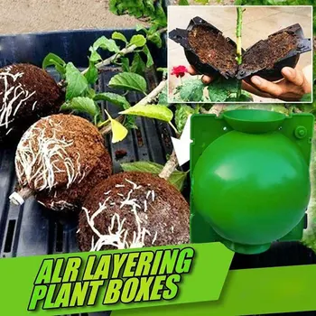 

5pcs Plant Rooting Ball Grafting Rooting Growing Box Breeding Case For Garden 5/8/12cm In Diameter D6