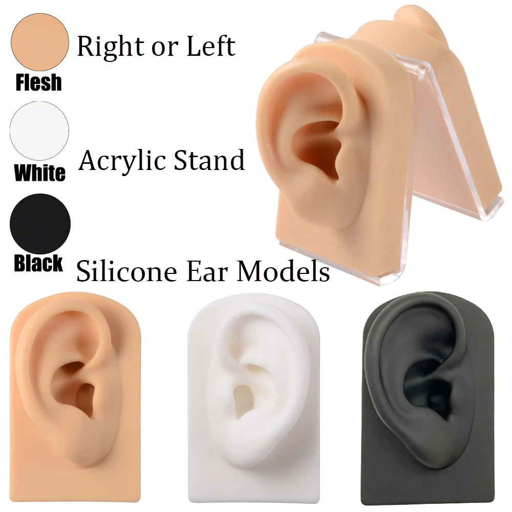 2pcs Modèle D'oreille en Silicone, Modèle D'oreille Humaine Modèle Flexible  Fausse Oreille Piercing Pratique Parties du Corps en Silicone pour