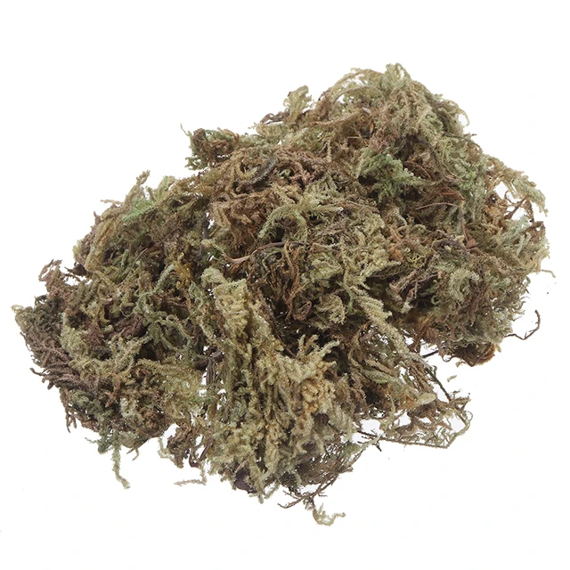 Természetes, Száraz Szerves Anyag Terrárium Sphagnum Moha Orchideák Cserepes Növények Dekorációja Diy Talajmentes Kertészkedés - Image 4