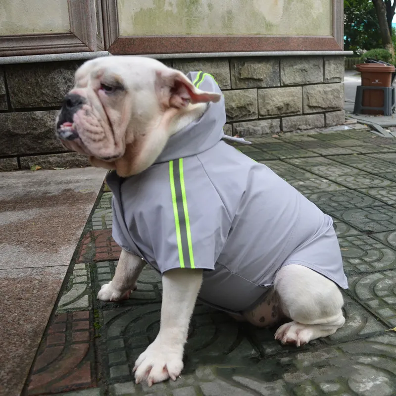 Roupinha para Pug Bulldog frances Ingles American Bully raças medidas  Camisa Xadrez Pet Flanelada