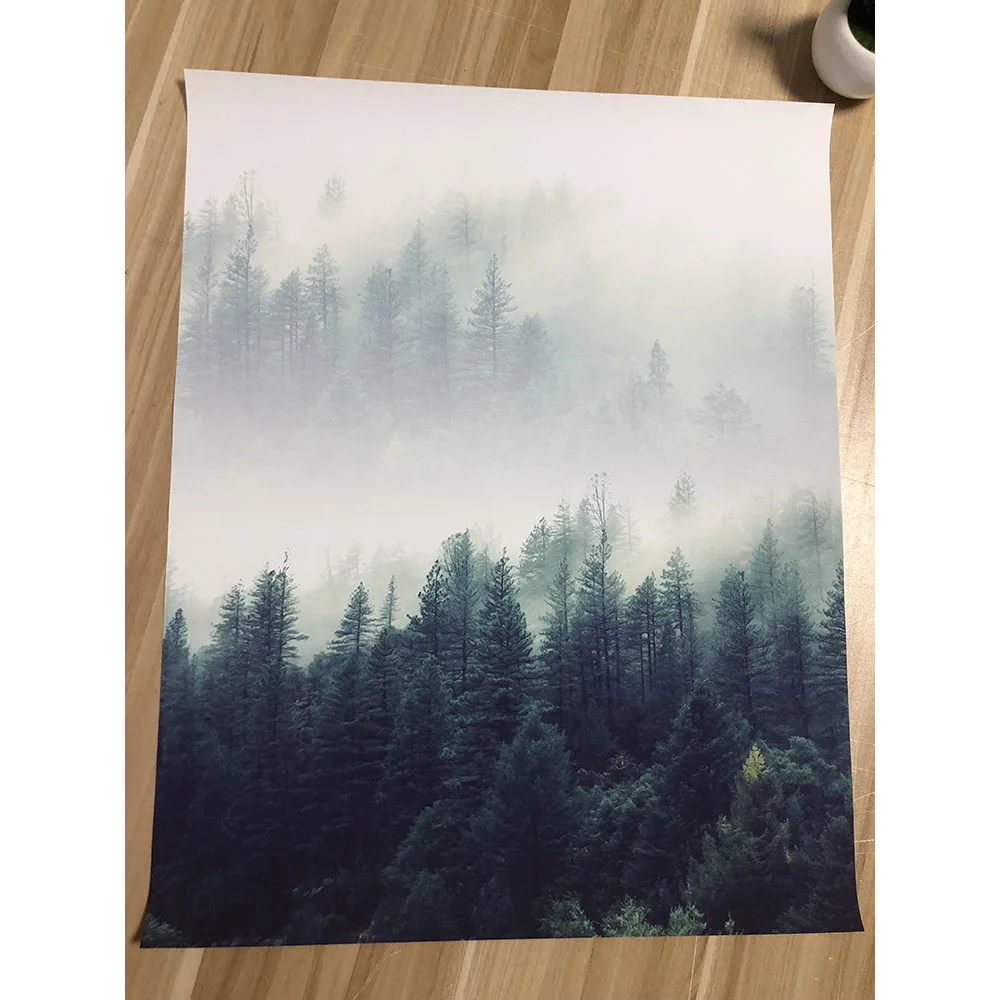 Nordic-Decoration-Forest-Lanscape-Wall-Art-Canvas-Poster-and-Print-Canvas-Painting-Decorative-Picture-for-Living