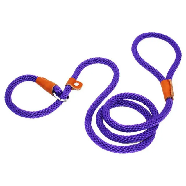 Dog Collar Durable Nylon Slip Rope Dog Leash Collar 2 In 1 Adjustable Loop Collar Comfortable Meidum Large Pet Harness Leashes 