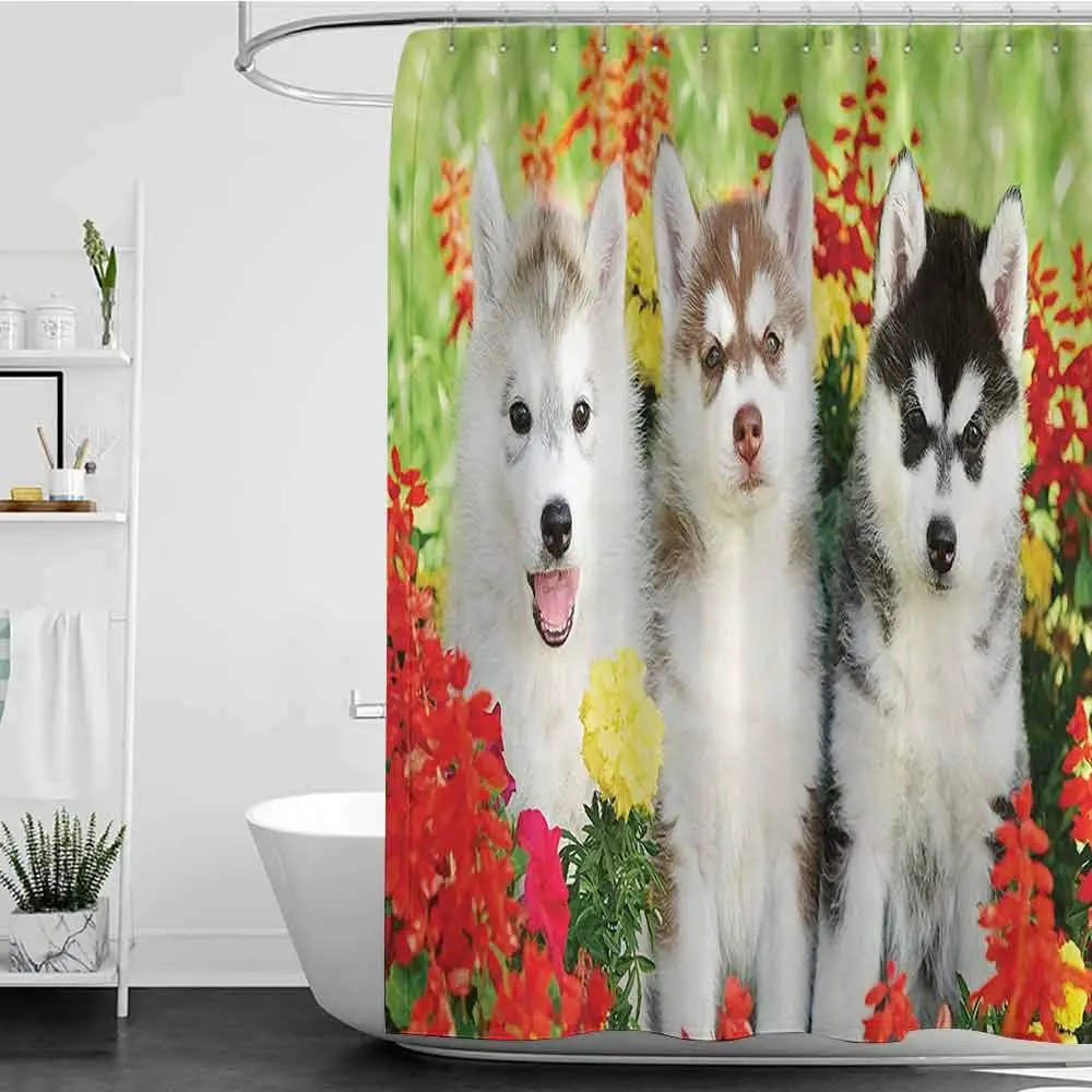 

Shower Curtains Under 20.00 Dog Lover Decor Collection,Three Siberian Puppy on Grass Flowers Grass Nature Summertime Family