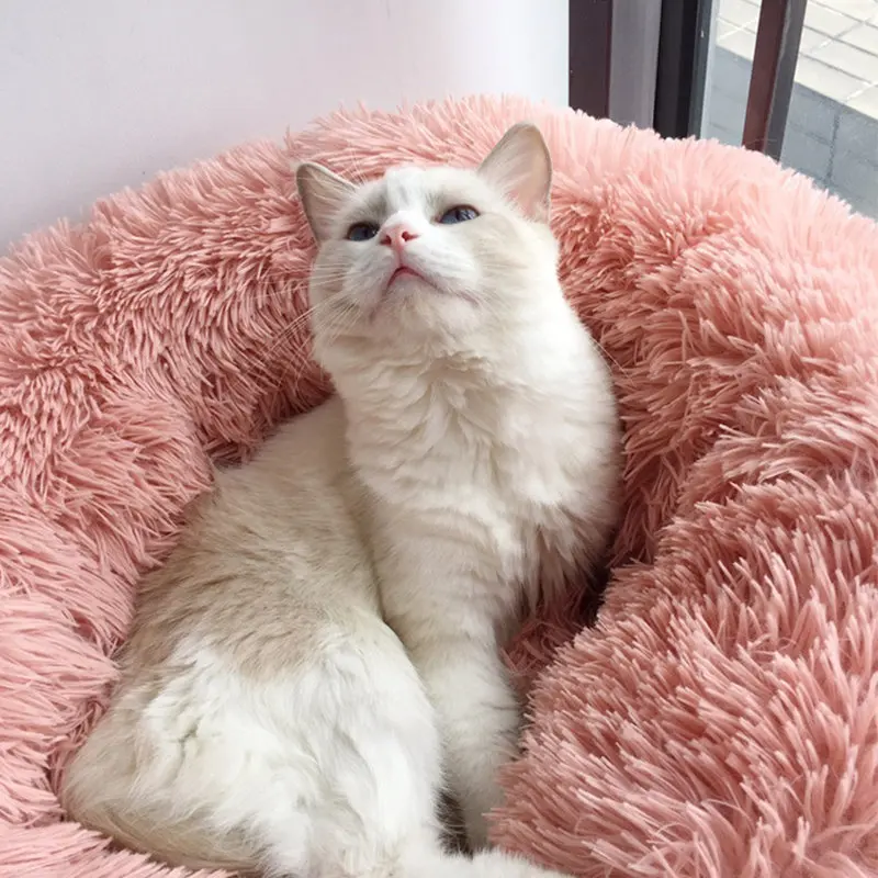 

Round Cat Bed House Soft Plush Pet Bed For Small Dog Puppy Cats Mat Sofa Portable Winter Warm Sleeping Cat Cushion 50/60/70cm