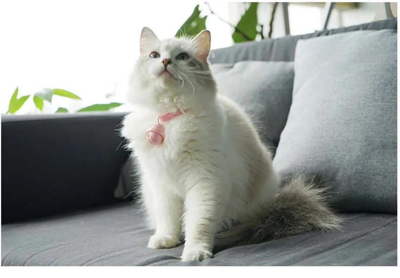 O1CN01QIi5IE24Nd8hBjV7E_!!704407379