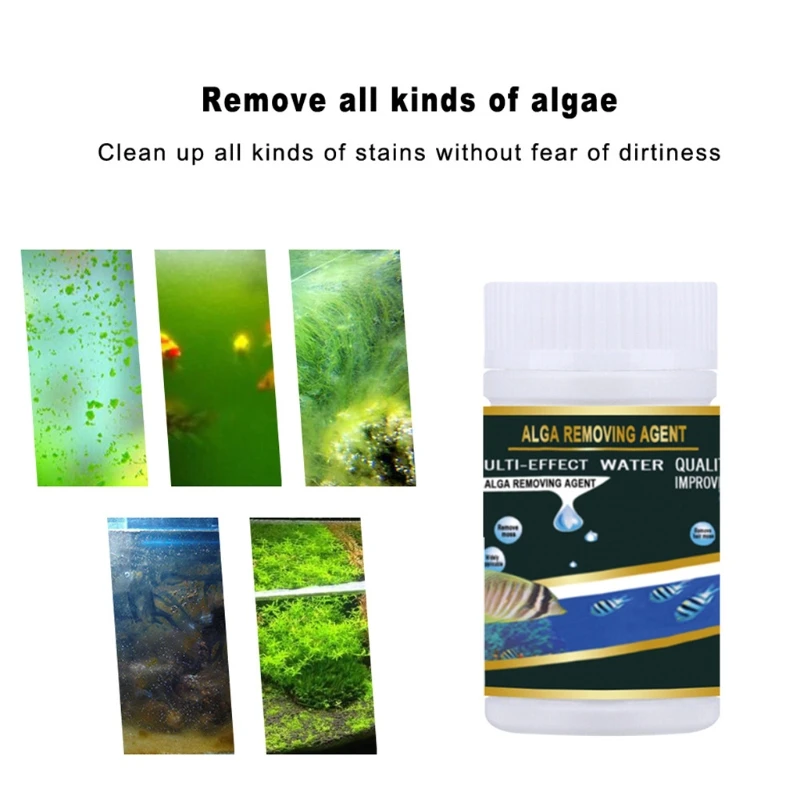 K5DC Algae Removal Agent Effectively Controls Green Water Algae String