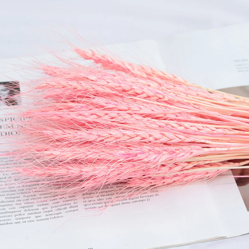 

50Pcs Artificial Flowers High Quality Wheat Autumn Decoration flower Craft Dried Flowers for Wedding Decor Wheat gampas grass