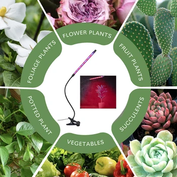 

Flexible Adjustable Gooseneck Fill Multi Modes Full Auto On Off 3 9 12H Timer LED Plant Grow Light Flower Seedling
