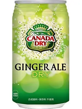 

X24 Ce Canada Dry Ginger Ale canettes de 350ml
