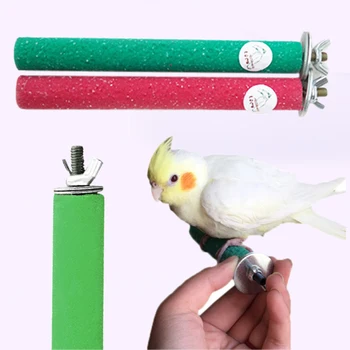 

Parrot Stand Platform Budgie Frame Standing Rod Bar Rack Birds Supplies 1.5*14cm