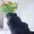 Одежда для собак Мода Pet Толстовки Костюм Весна Средний Большой Собаки Собака Лицо Толстовка для Лабрадора Французский Бульдог Одежда