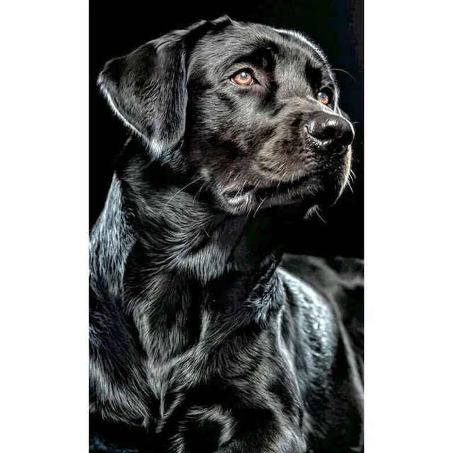 H9ada36e980884c33b1ad0cfe8debc407A