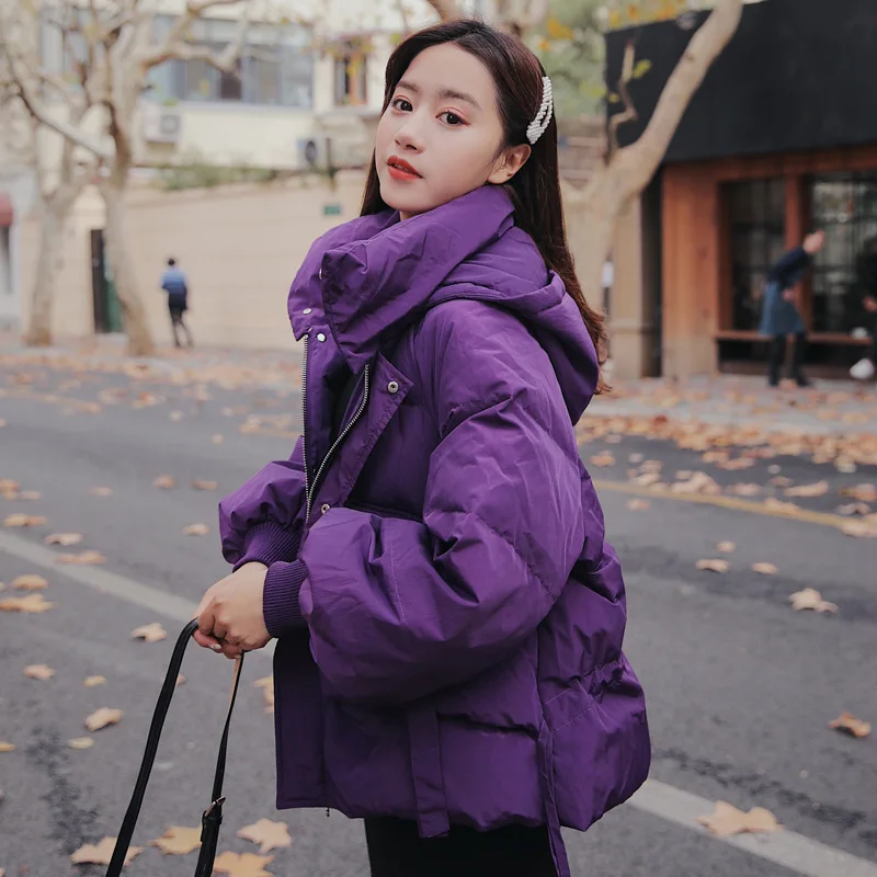 Lantern Sleeve Cotton Coat Women's Autumn And Winter New Style Korean-style Solid Color Hooded down Coat Loose-Fit Students