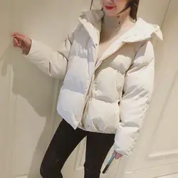 Fakuntn nova alta qualidade inverno roupas acolchoadas de algodão feminino