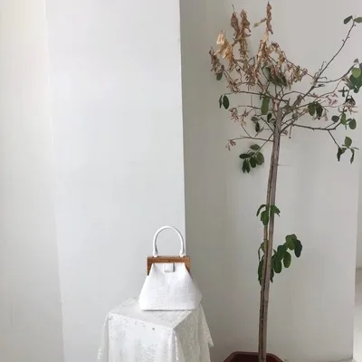 Beige Винтажные женские сумки с деревянным зажимом, дизайнерские сумки через плечо, роскошные сумки через плечо из искусственной кожи аллигатора, женские маленькие кошельки - Color: Beige