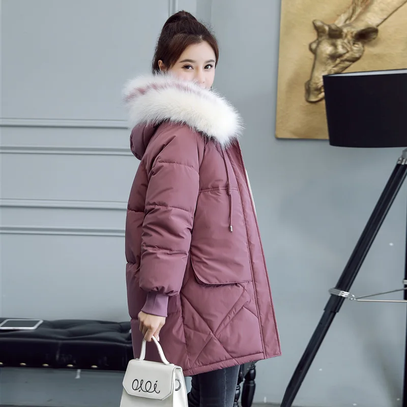price cut  Orwindny Down Jackets Female Winter Coat Women's Parka Hooded Warm Coat New Coat Jacket Cotton Padd