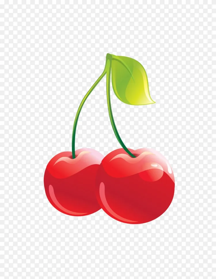 真挚的樱桃水果剪贴画-樱桃
