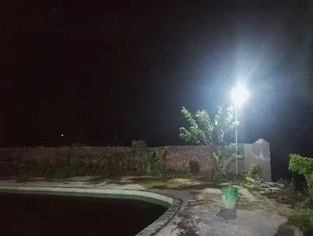 3530147918_48012381
