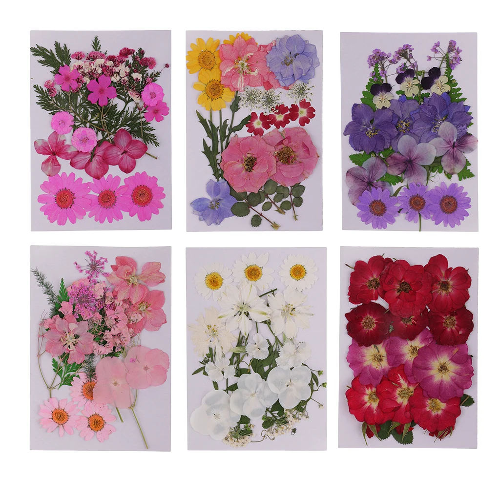 Lots Mixed Real Pressed Flower Dried Flowers  for Resin Jewellery Scrapbooking Phone Case Making Crafts DIY Dry Plants