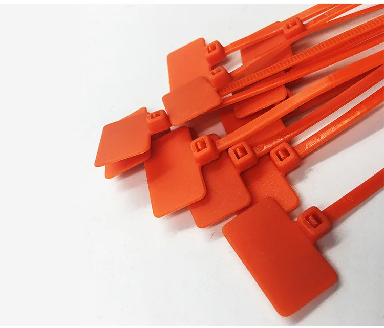 4455701324_1257796623