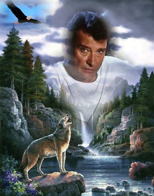 

Wolf Eagle Diamond Embroidery 5d DIY "Johnny Halliday" Diamond Painting Mosaic Rhinestone Cross Stitch Home Decoration Gift