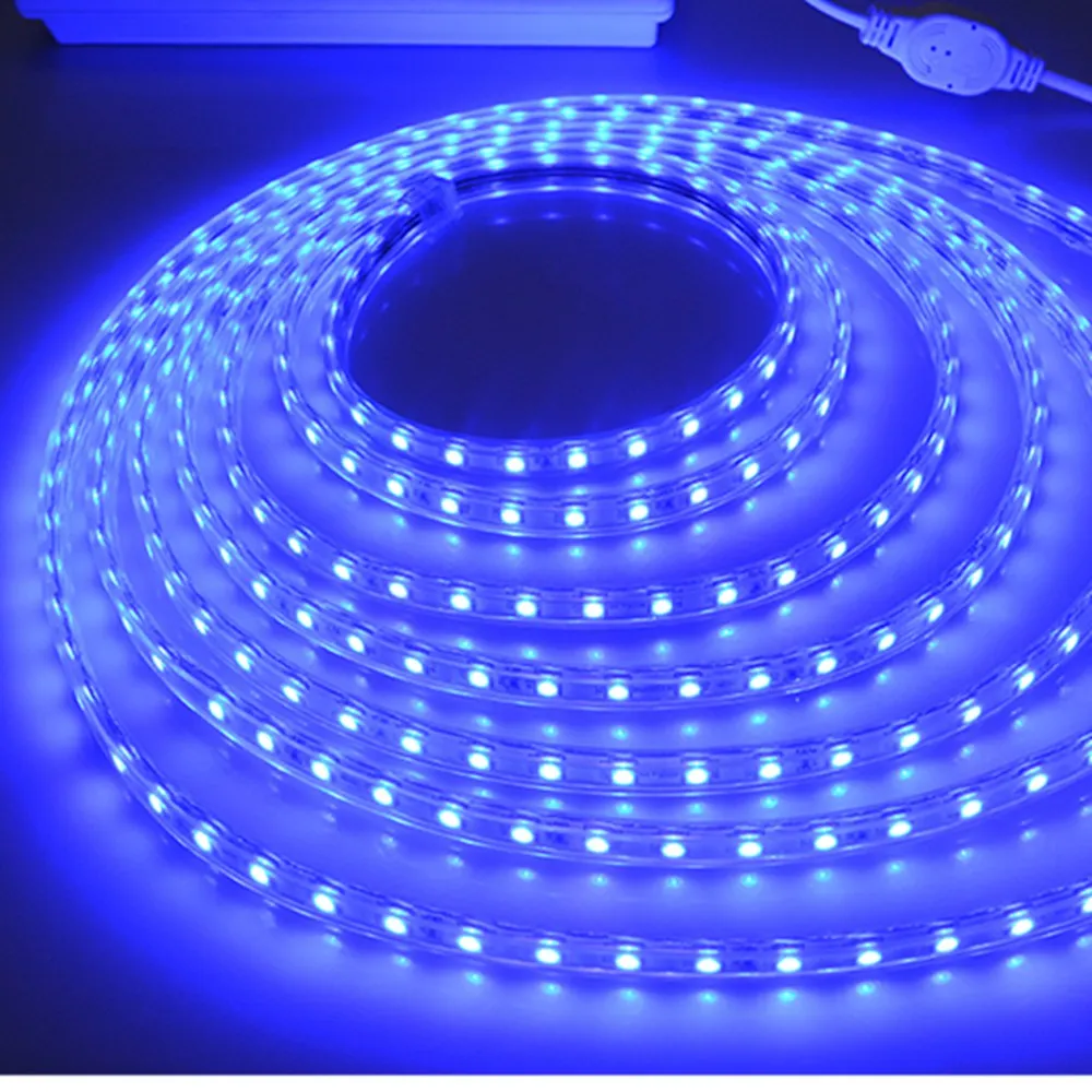 AC220V SMD 5050 Светодиодные ленты гибкий светильник 60 светодиодный s/M Водонепроницаемый светодиодный лента светодиодный светильник с Мощность штекер Адаптер длиной 1 м/2 м/5 м/8 м/10 м/15 м/20 м/ 50 м/100 м