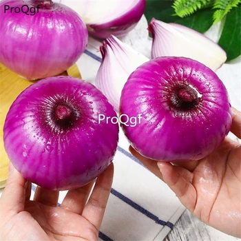 

Ngryise 100Pcs A Set purple onion