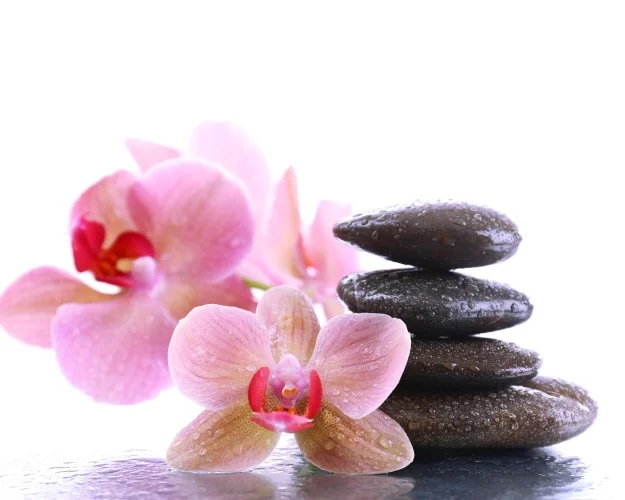 Canvas Painting Flowers and stacked stones Nordic Art Poster Picture Wall Decor Modern Home Decoration For Living room Office Canvas Painting Flowers and stacked stones Nordic Art Poster Picture Wall Decor Modern Home Decoration For Living room Office